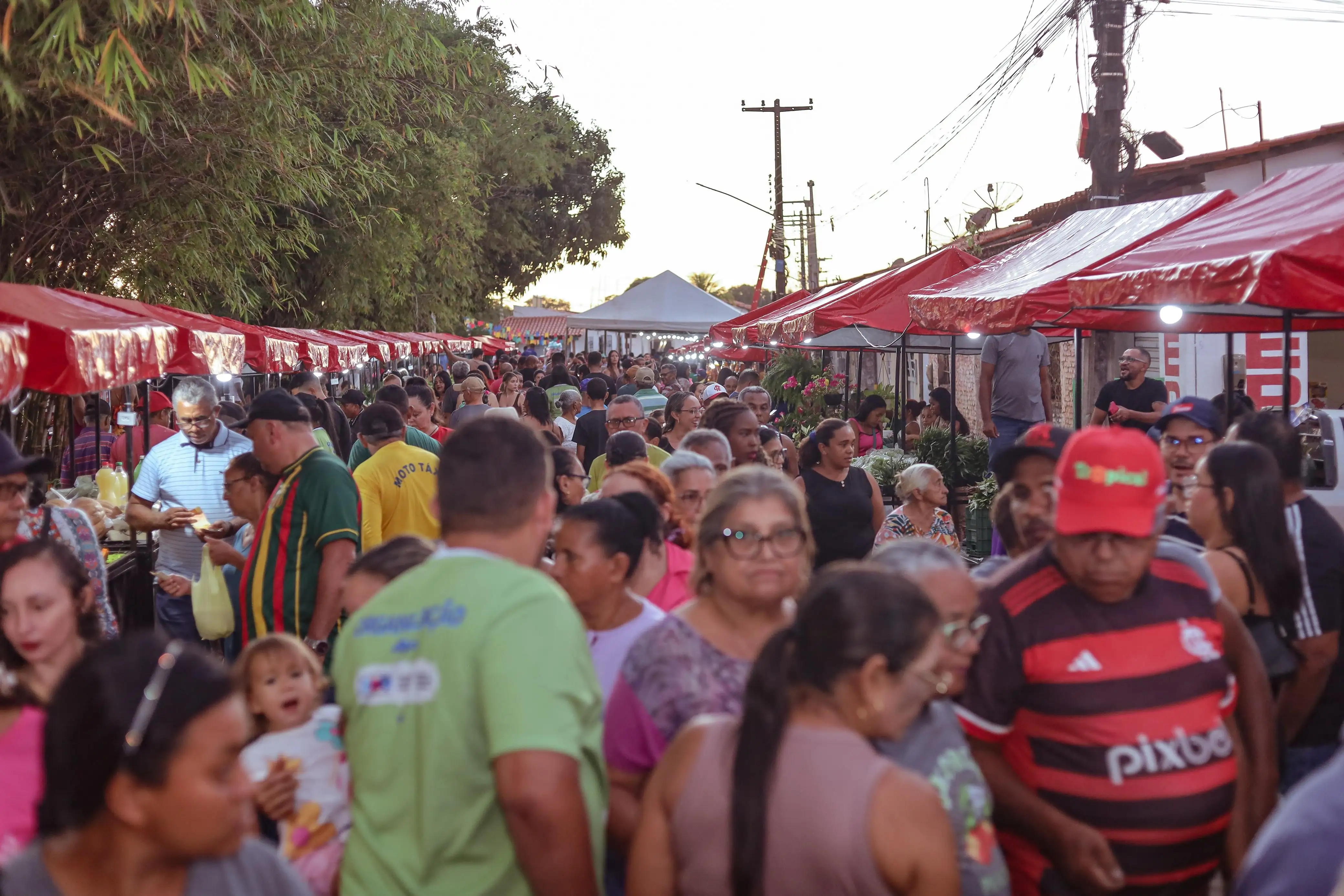 Foto 13 – Segunda edição da Feira da Agricultura Familiar e Artesanato é promovida em Codó
