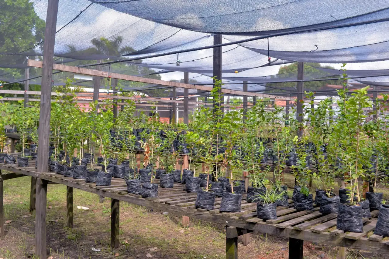 Foto 8 – Comissão do Selo UNICEF de Codó promove ação educativa sobre mudanças climáticas e políticas públicas ambientais