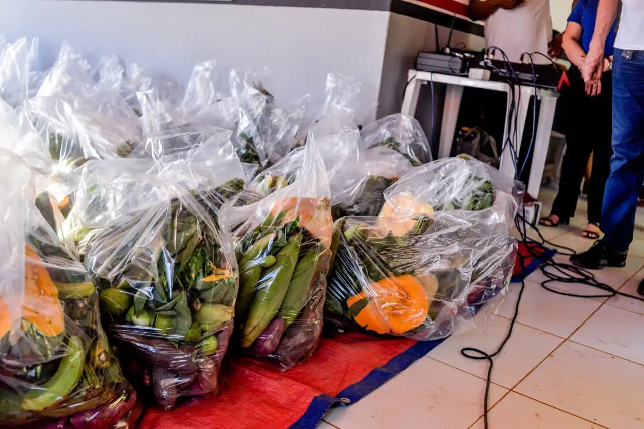 Foto 12 – Prefeitura de Codó realiza entrega de Cestas Verdes à famílias do KM 17