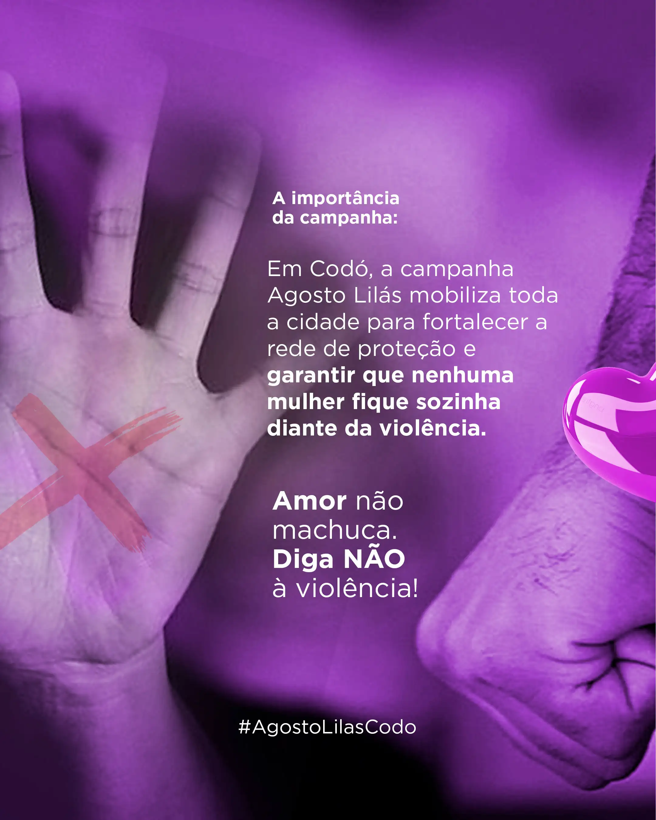 Foto 2 – Prefeitura de Codó lança campanha “Agosto Lilás” com ações de conscientização e combate à violência contra a mulher