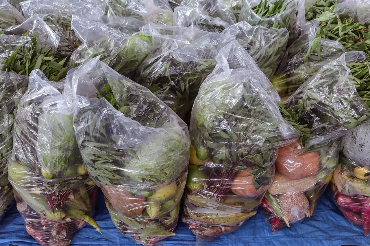 Foto 10 – Prefeitura fortalece agricultura familiar e distribui 800 cestas verdes para famílias codoenses