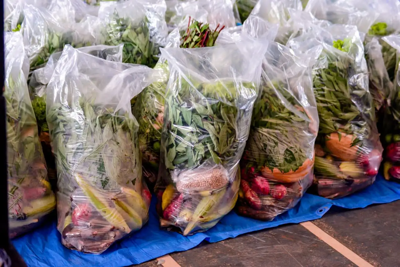 Foto 9 – Programa de Aquisição de Alimentos beneficia agricultores e famílias com entrega de 20 toneladas de alimentos em Codó