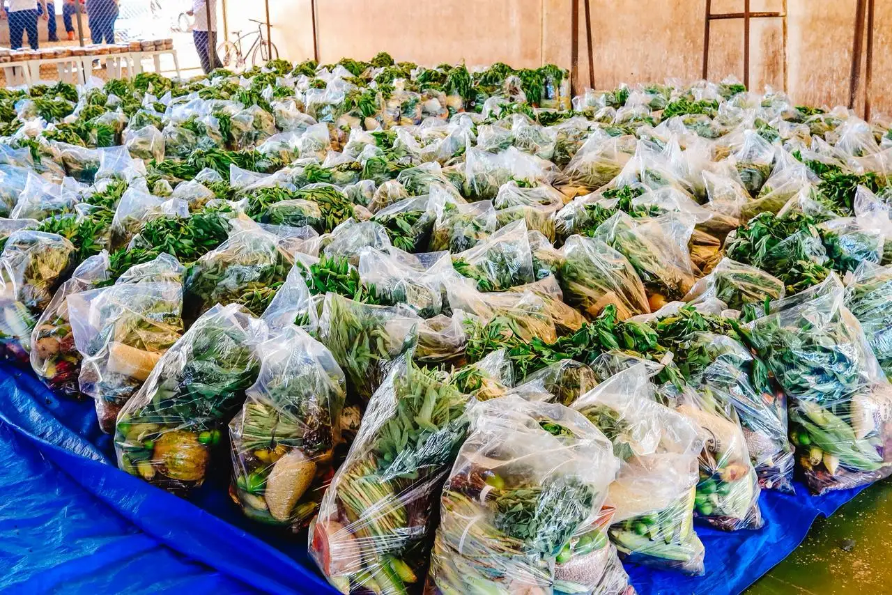 Foto 9 – Prefeitura fortalece segurança alimentar com entrega de 500 cestas verdes em Codó