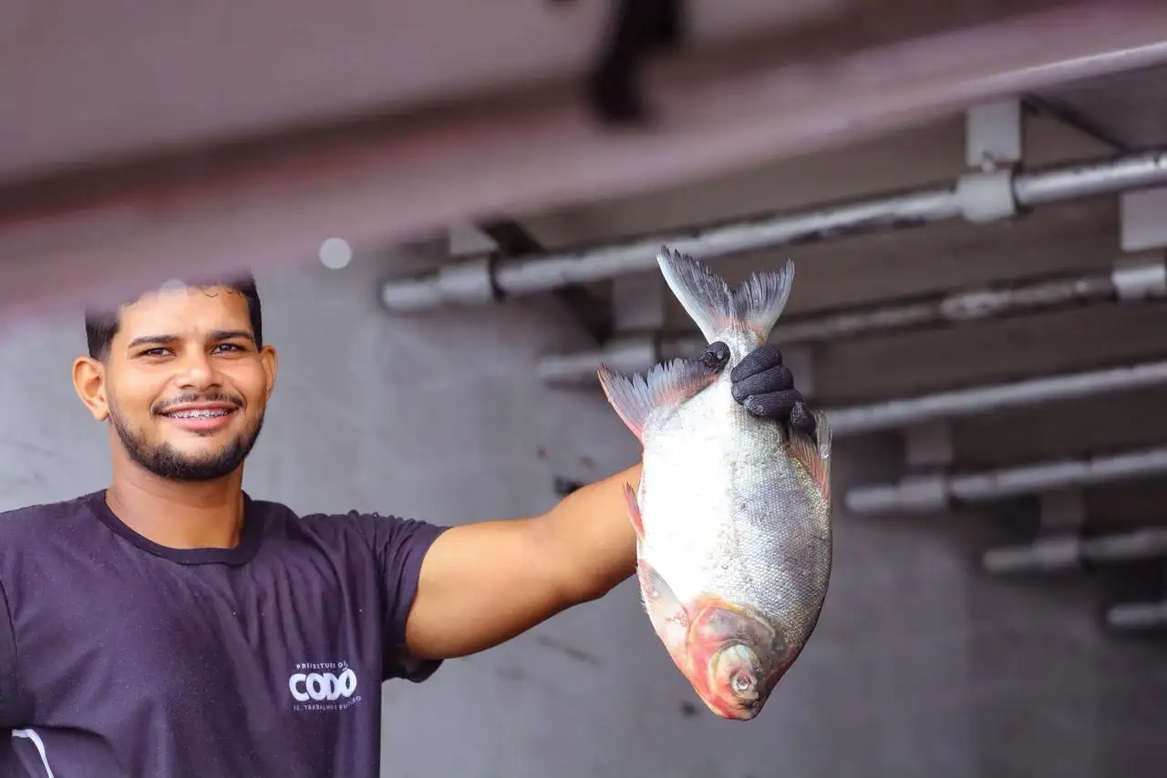 Galeria de imagens - Foto 1 da notícia: Prefeitura de Codó distribui 60 toneladas de peixe e beneficia milhares de famílias na Semana Santa