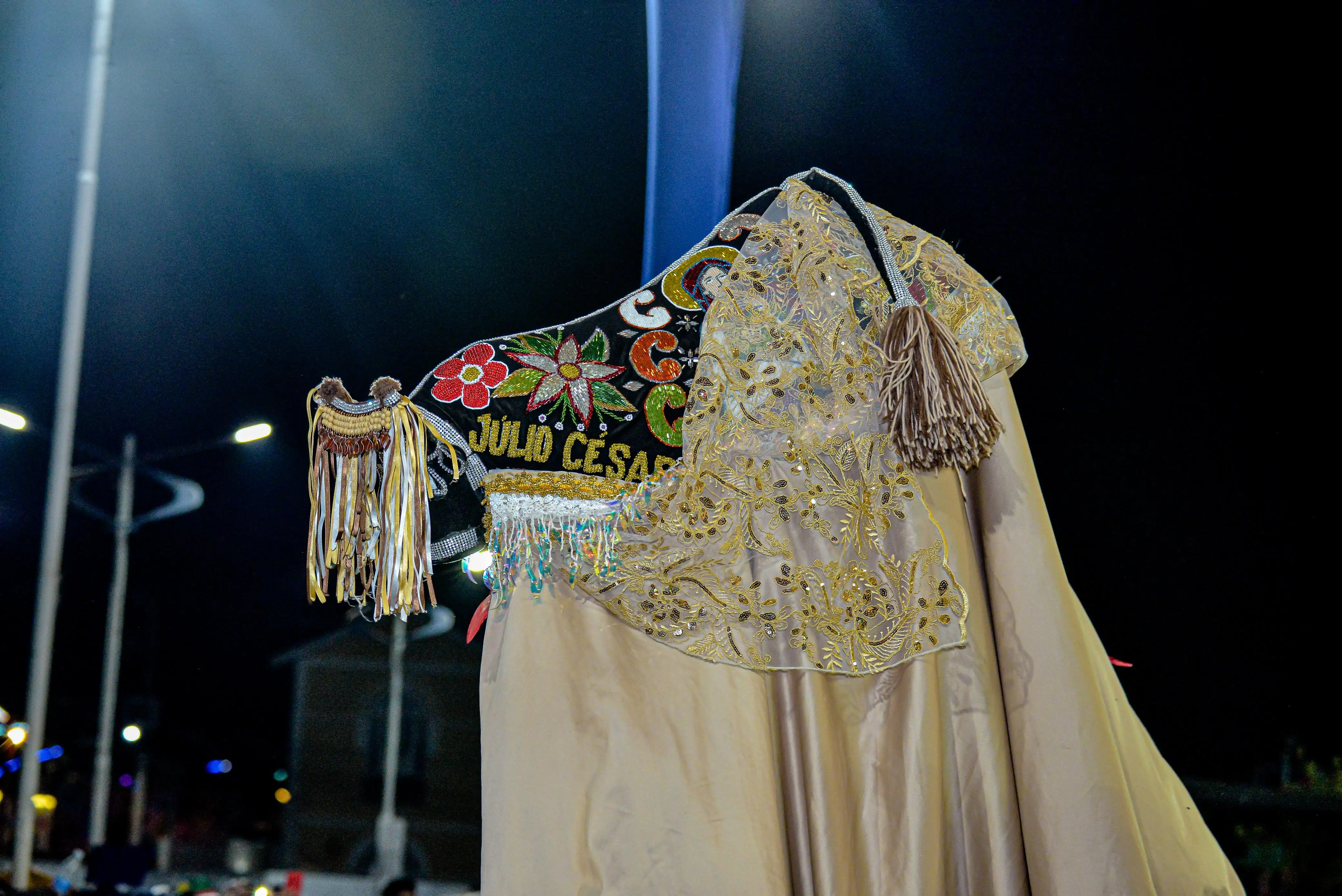 Galeria de imagens - Foto 20 da notícia: Encerramento do Festival Julino reúne milhares de pessoas em Codó