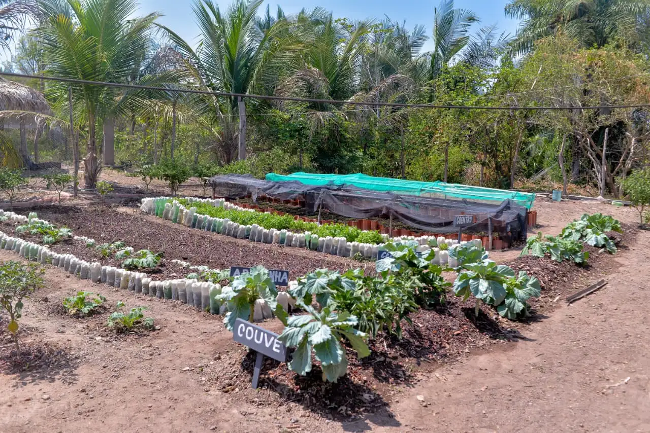 Foto 5 – Prefeitura de Codó promove grande ação de saúde e entrega de obras no Povoado Barracão