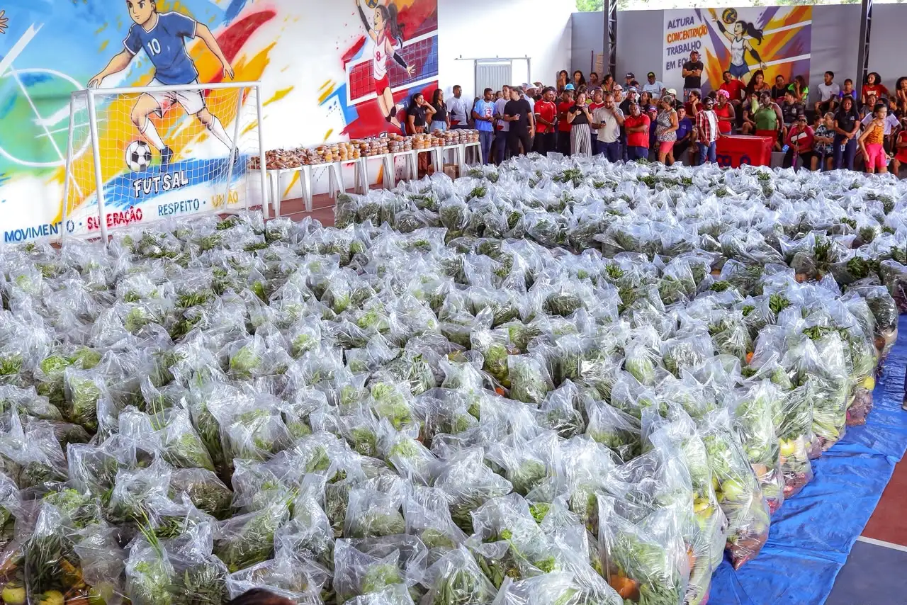 Foto 5 – Prefeitura fortalece agricultura familiar e distribui 800 cestas verdes para famílias codoenses