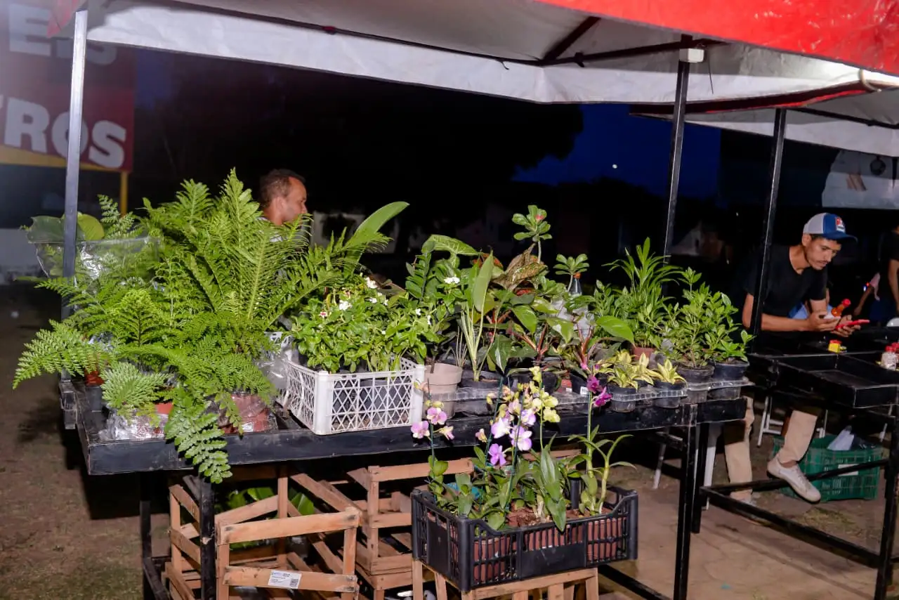 Foto 8 – 6ª Feira da Agricultura Familiar e Artesanato movimenta Codó com cultura, tradição e geração de renda
