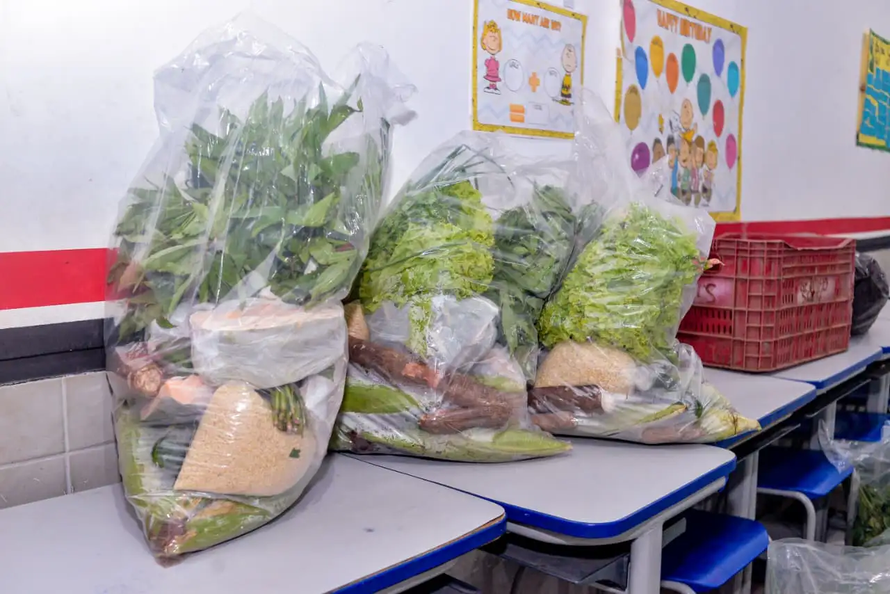 Foto 9 – Prefeitura de Codó beneficia famílias do Codó Novo com 600 Cestas Verdes de produtos da agricultura familiar
