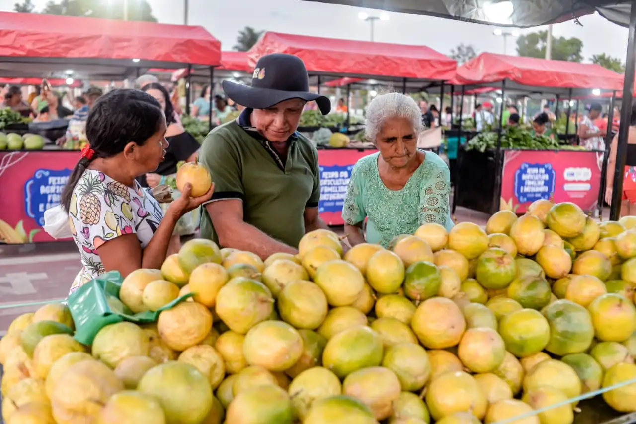 Galeria de imagens - Foto 9 da notícia: 4ª edição da Feirinha da Agricultura Familiar reúne produtores rurais e artesãos movimentando economia e cultura em Codó