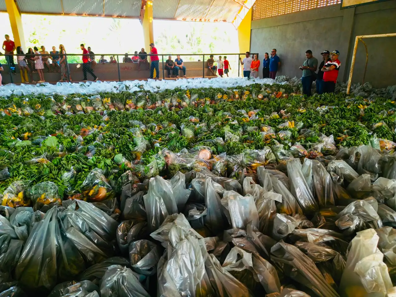 Foto 2 – Prefeitura fortalece segurança alimentar com entrega de 800 cestas verdes em Cajazeiras