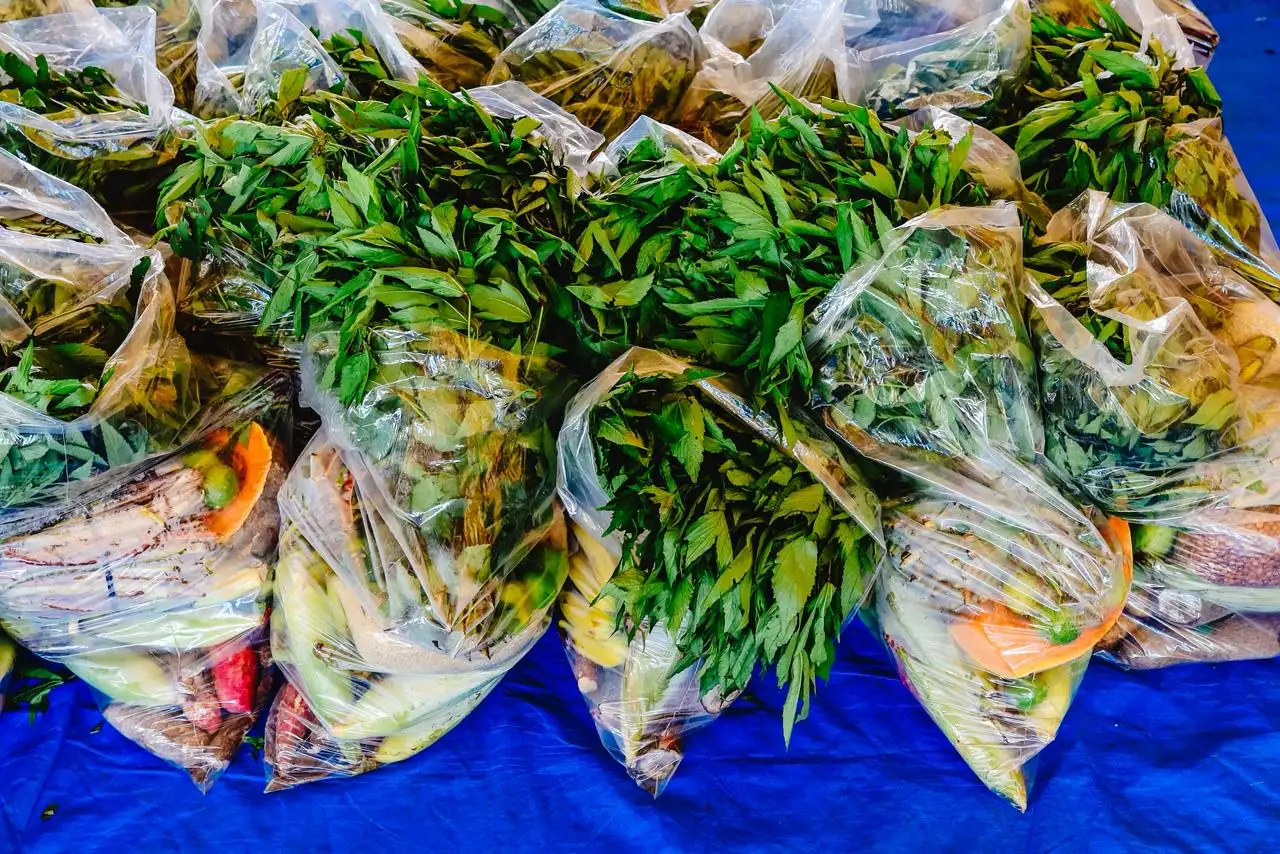 Foto 11 – Prefeitura fortalece segurança alimentar com entrega de 500 cestas verdes em Codó