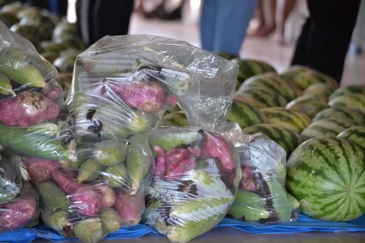 Foto 7 – Ação da Prefeitura de Codó distribui 300 cestas verdes e fortalece a segurança alimentar no município