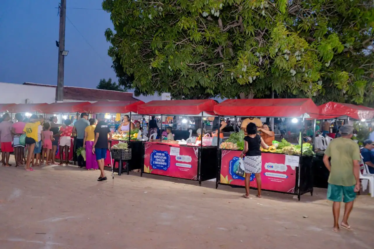Galeria de imagens - Foto 10 da notícia: Prefeitura de Codó valoriza produtores e artesãos locais em mais uma edição da Feira da Agricultura Familiar