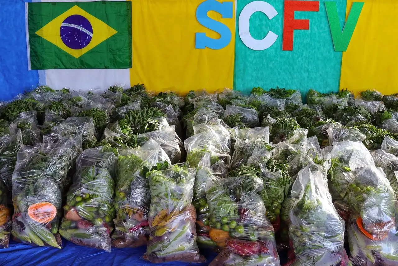 Foto 12 – Codó amplia segurança alimentar com nova distribuição de cestas verdes