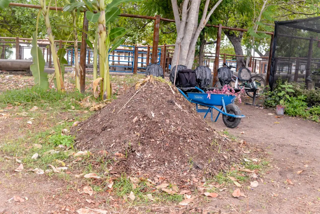 Foto 5 – Comissão do Selo UNICEF de Codó promove ação educativa sobre mudanças climáticas e políticas públicas ambientais