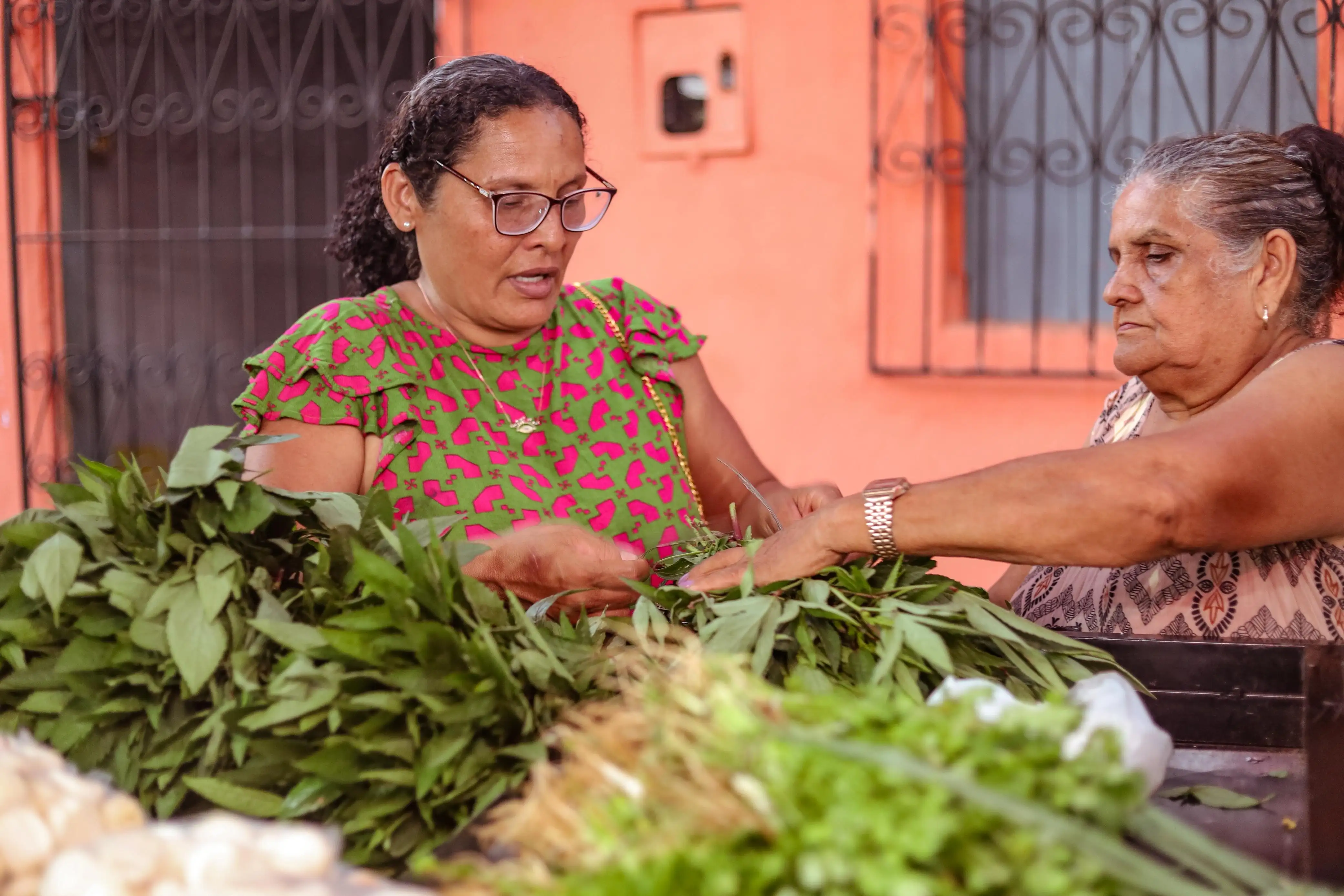 Foto 12 – Segunda edição da Feira da Agricultura Familiar e Artesanato é promovida em Codó