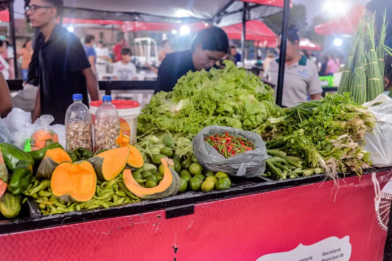 Galeria de imagens - Foto 6 da notícia: 4ª edição da Feirinha da Agricultura Familiar reúne produtores rurais e artesãos movimentando economia e cultura em Codó