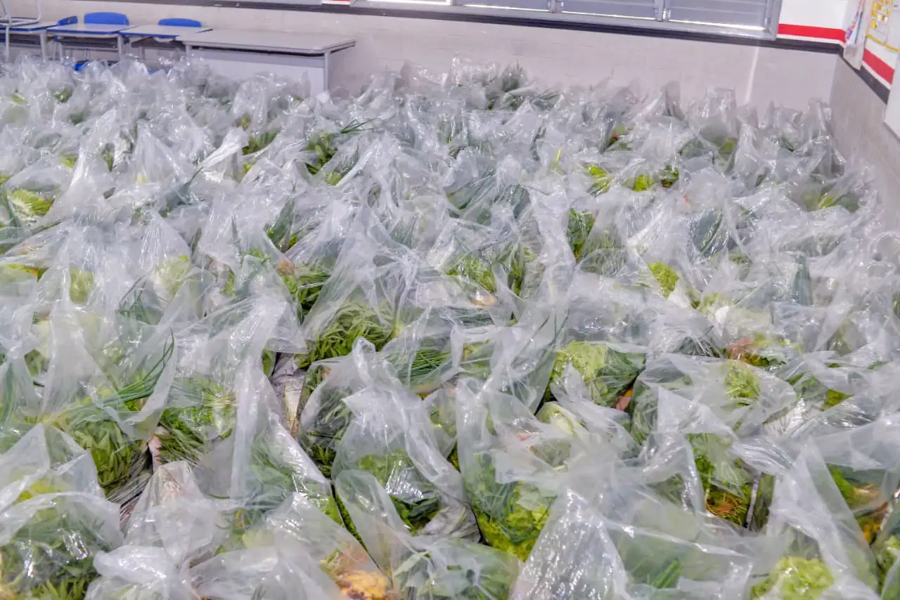Foto 8 – Prefeitura de Codó beneficia famílias do Codó Novo com 600 Cestas Verdes de produtos da agricultura familiar