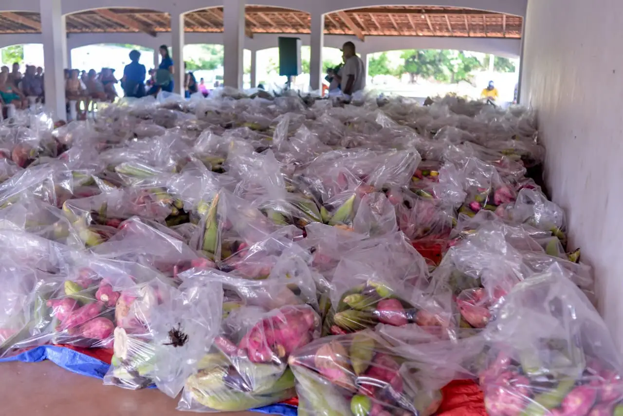 Ação da Prefeitura de Codó distribui 300 cestas verdes e fortalece a segurança alimentar no município