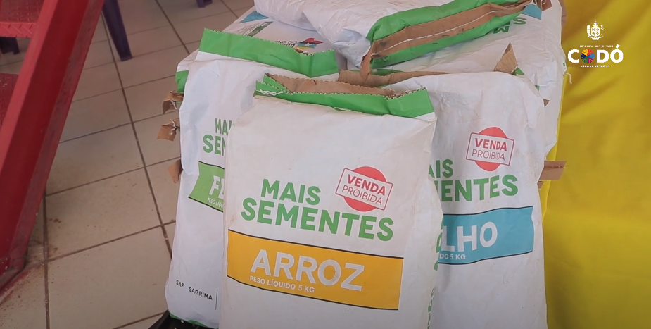 Agricultores são beneficiados com entrega de sementes pela prefeitura de Codó